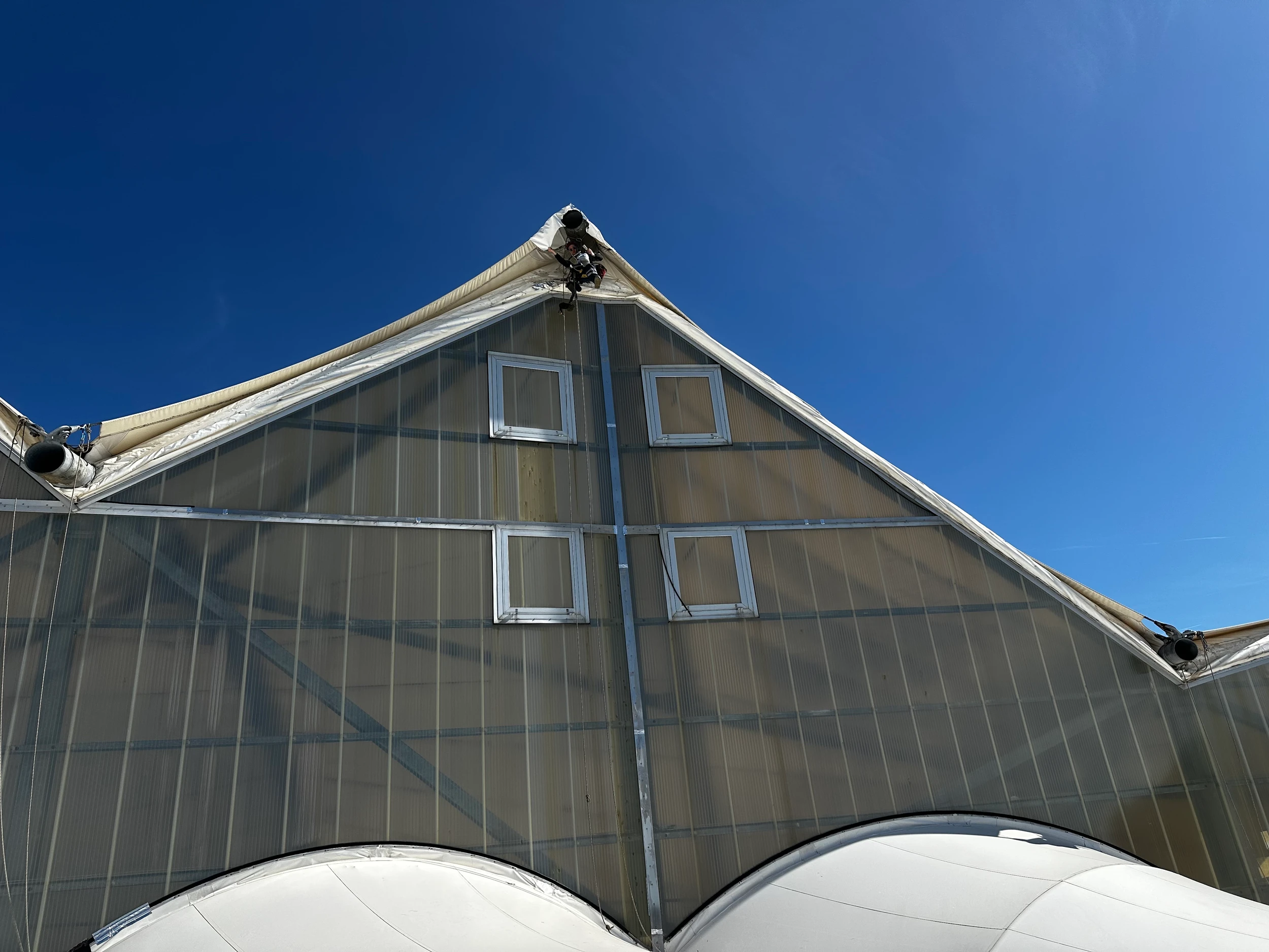 Intervention de cordistes MS Access pour rester au sec... à la piscine ! chez ANTILLES DE JONZAC à Jonzac (bâtiment) – 3